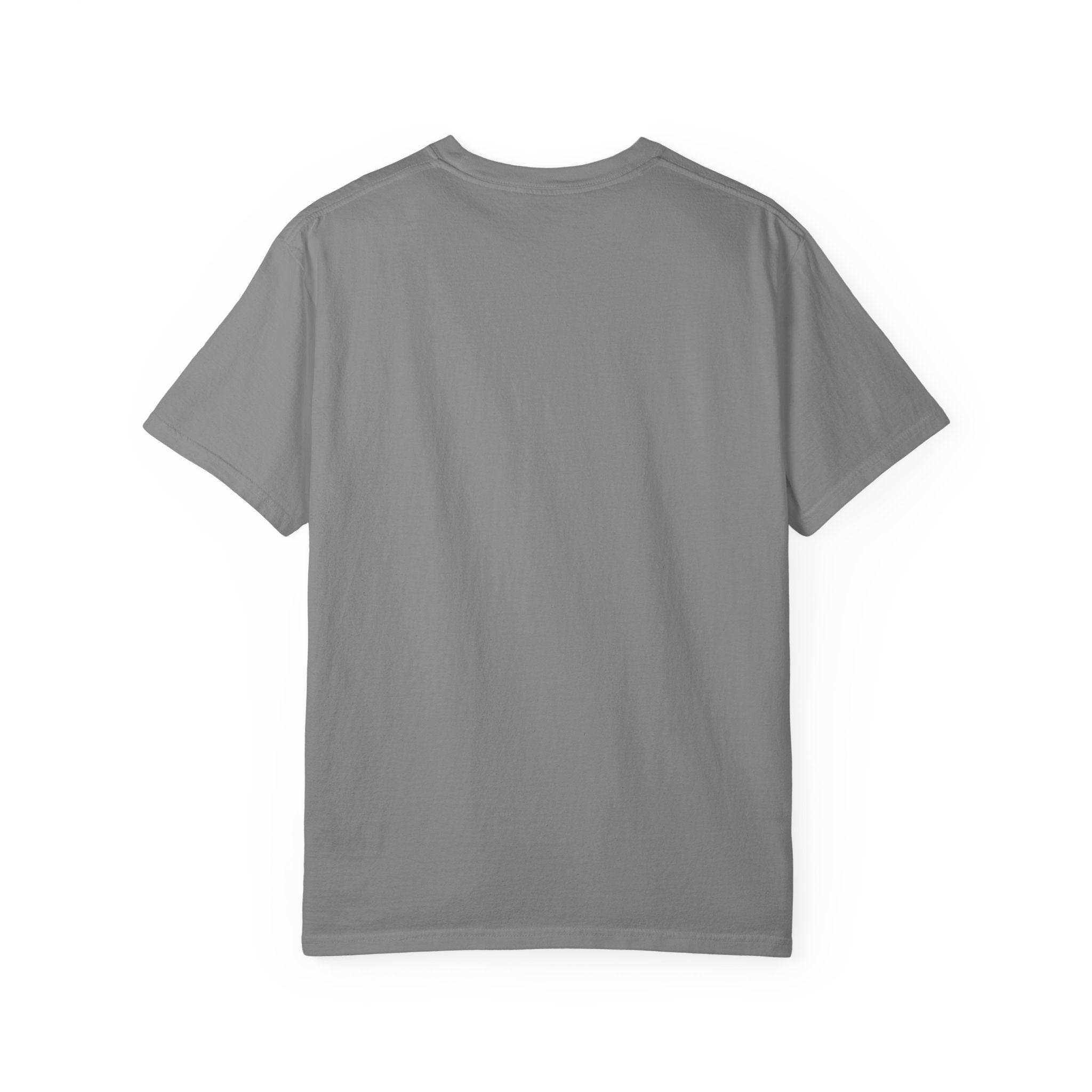 Albatross stand up Tee — "I Came For The Wings" Graphic T-Shirt