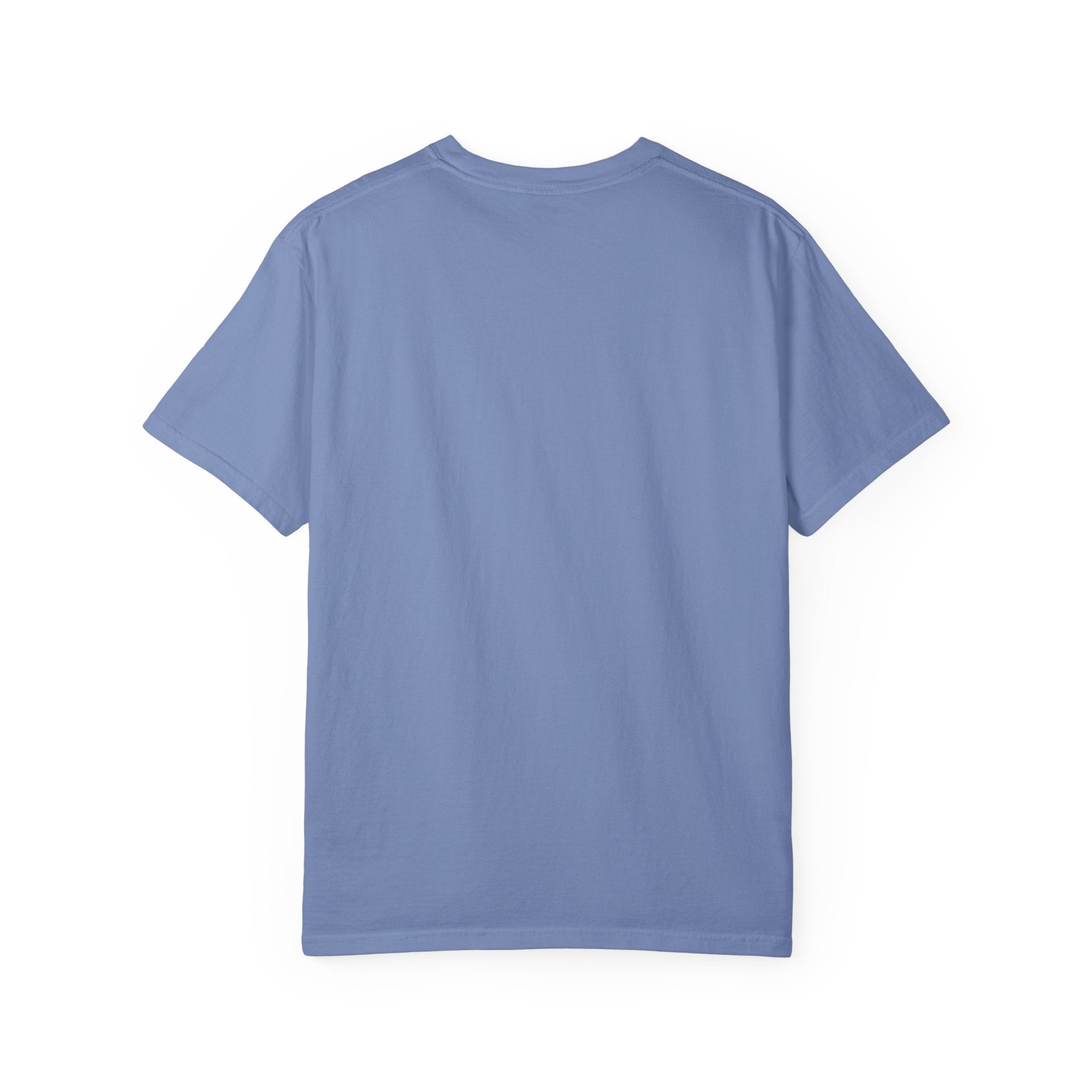 Albatross stand up Tee — "I Came For The Wings" Graphic T-Shirt