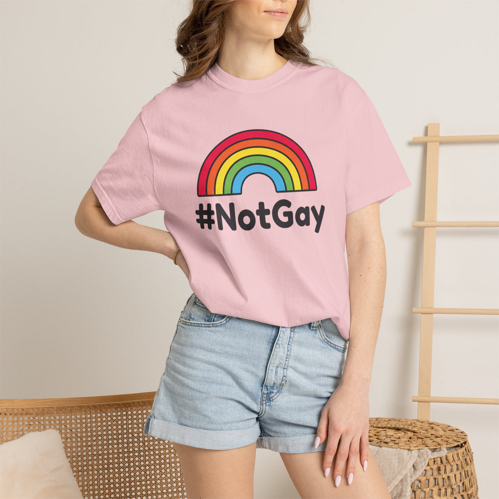 The “Not Gay” T-Shirt
